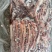 驴肉。带皮驴肉。驴板肠。脊骨。新鲜冻品。全国各地发