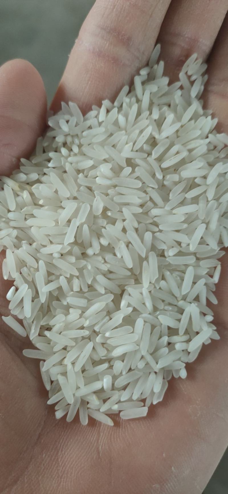 泰优390大米，厂家直销，米质细长香味浓郁，