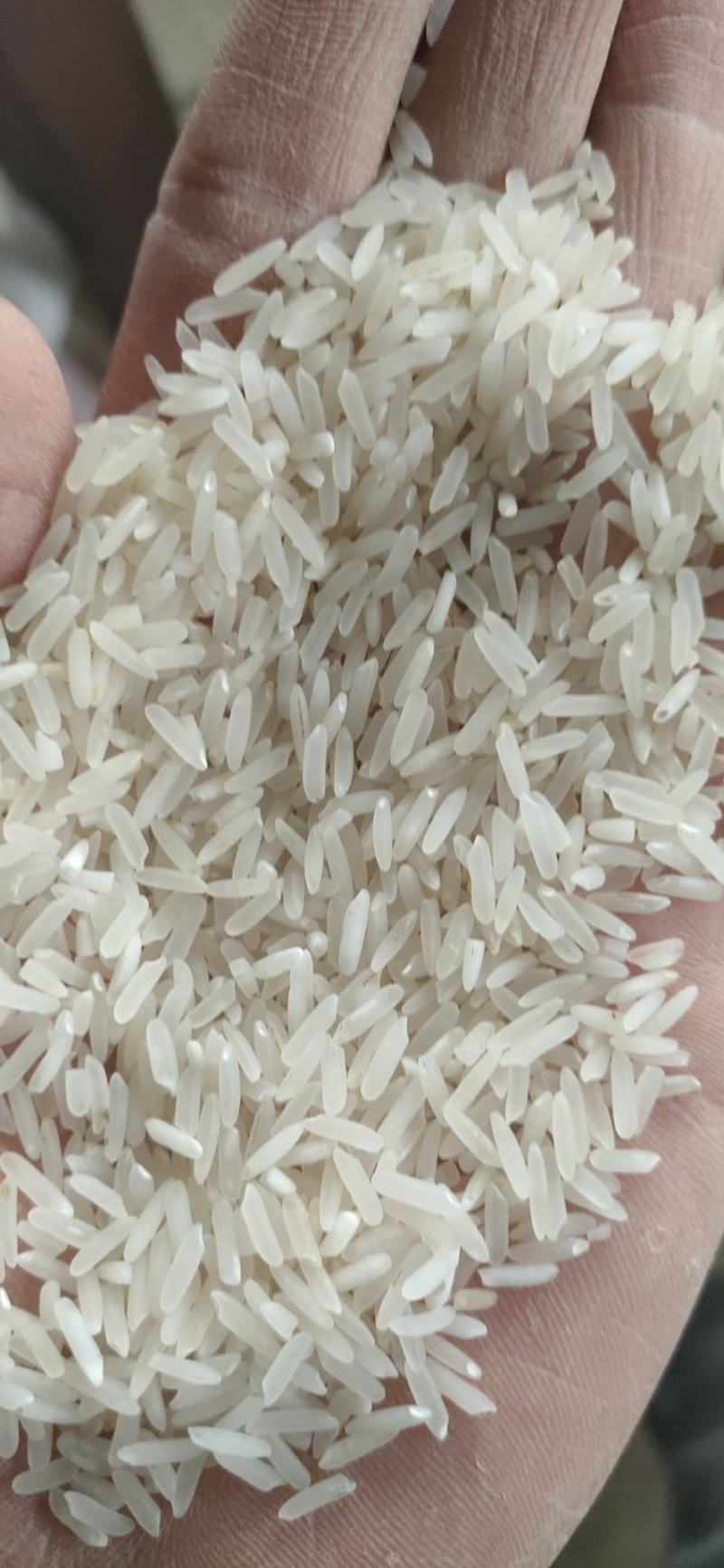 泰优390大米，厂家直销，米质细长香味浓郁，