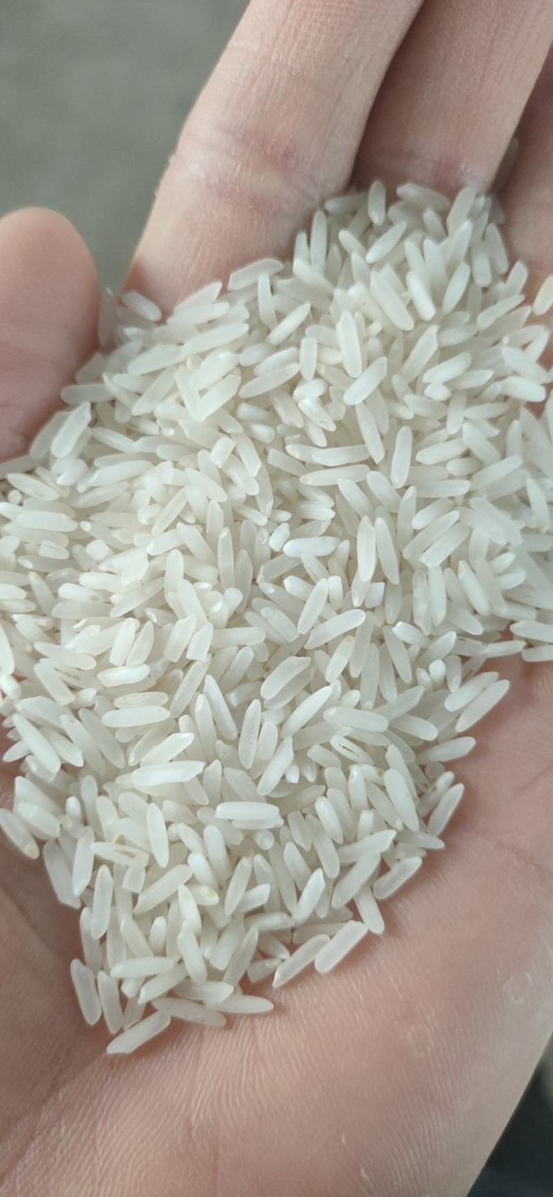 泰优390大米，厂家直销，米质细长香味浓郁，