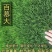 矮生百慕大种子矮生四季青草籽耐旱耐践踏天堂草草坪种子