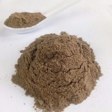 中药材大将军粉屎壳郎粉蜣螂虫推粪虫中药材包邮清水