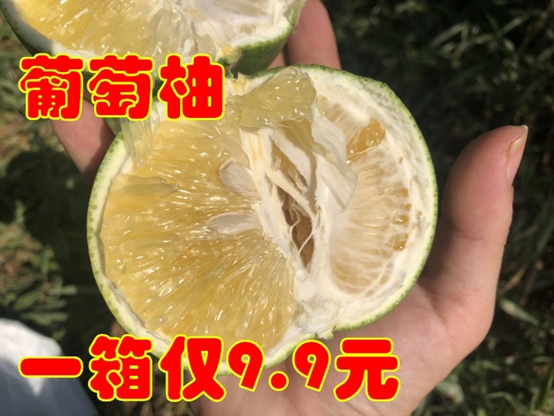 黄金葡萄柚台湾青柚青柚次果花皮果西柚甜葡萄柚