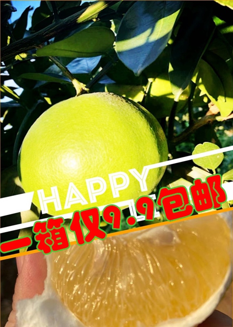 黄金葡萄柚台湾青柚青柚次果花皮果西柚甜葡萄柚