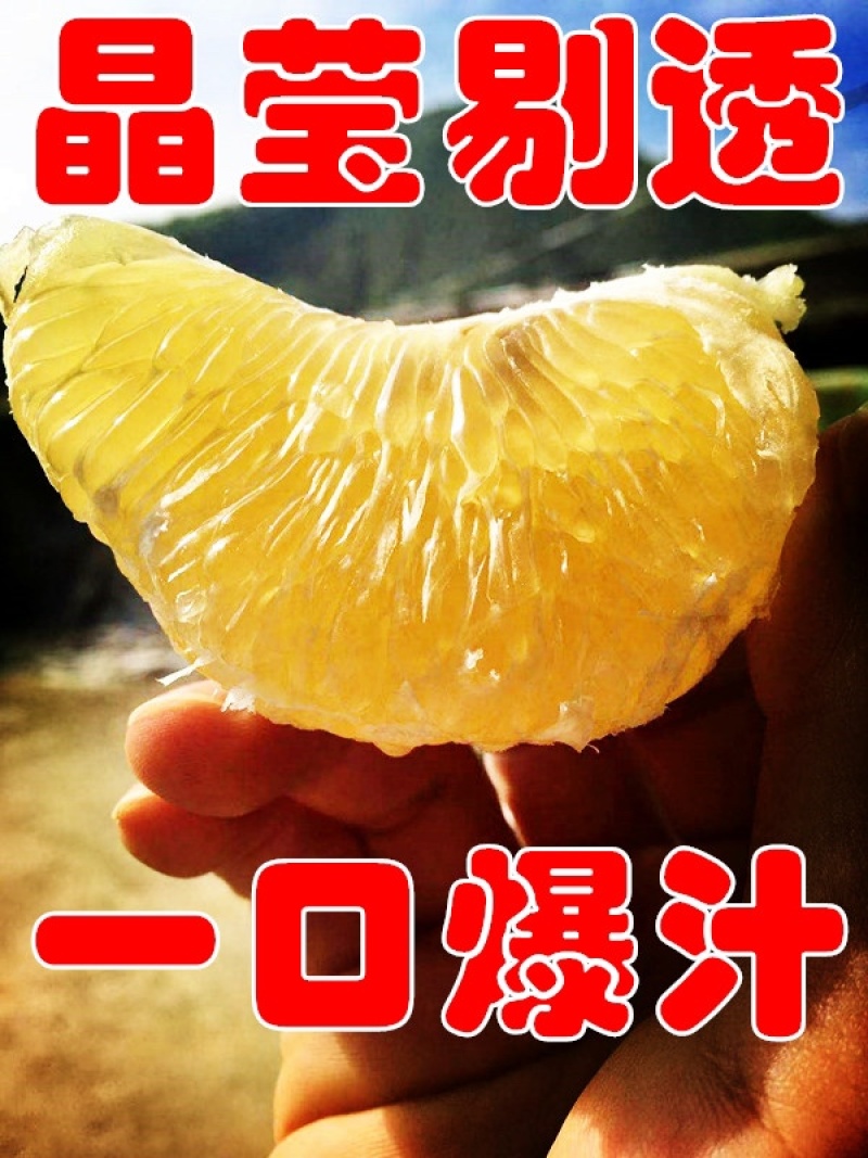 黄金葡萄柚台湾青柚青柚次果花皮果西柚甜葡萄柚