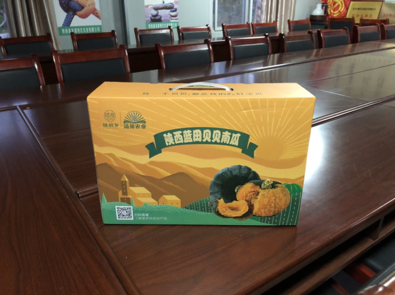 产业园种植贝贝南瓜礼品装采购合作批发私信联系