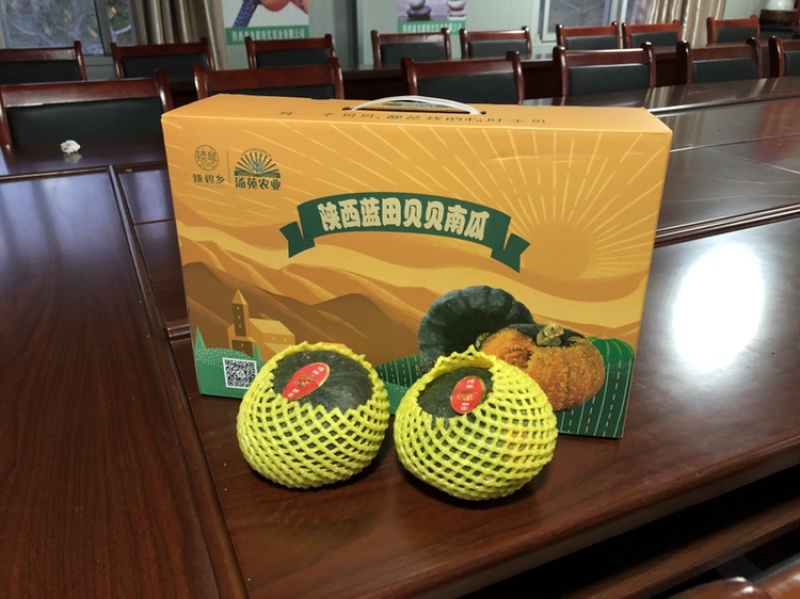 产业园种植贝贝南瓜礼品装采购合作批发私信联系
