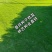 进口地毯草种籽免修剪高档别墅专用绿化草坪种子冬季草籽