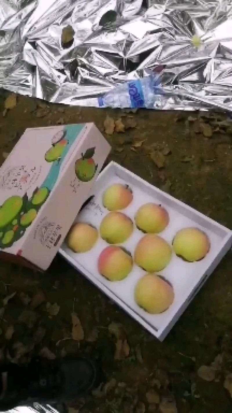 三两半起步纸袋膜袋王林脱袋大量有货，有需要的老板随时下单