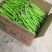 陕西大量供应各种精品辣椒