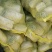 平菇菌种