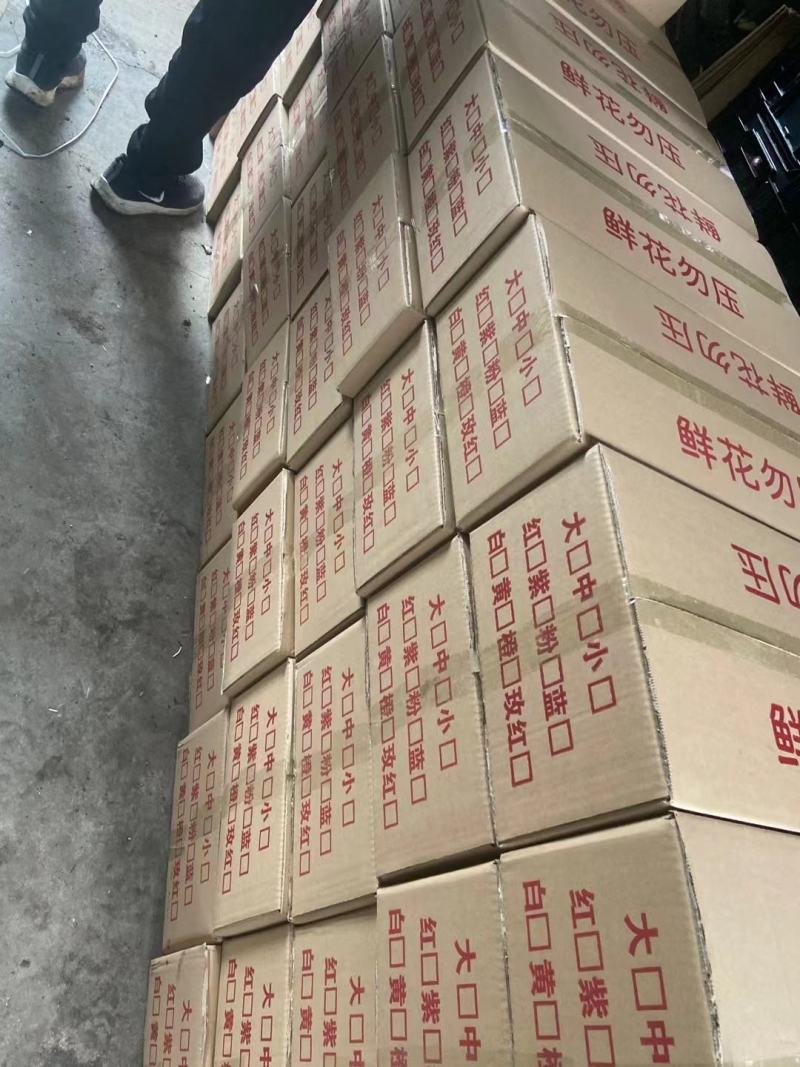 风信子