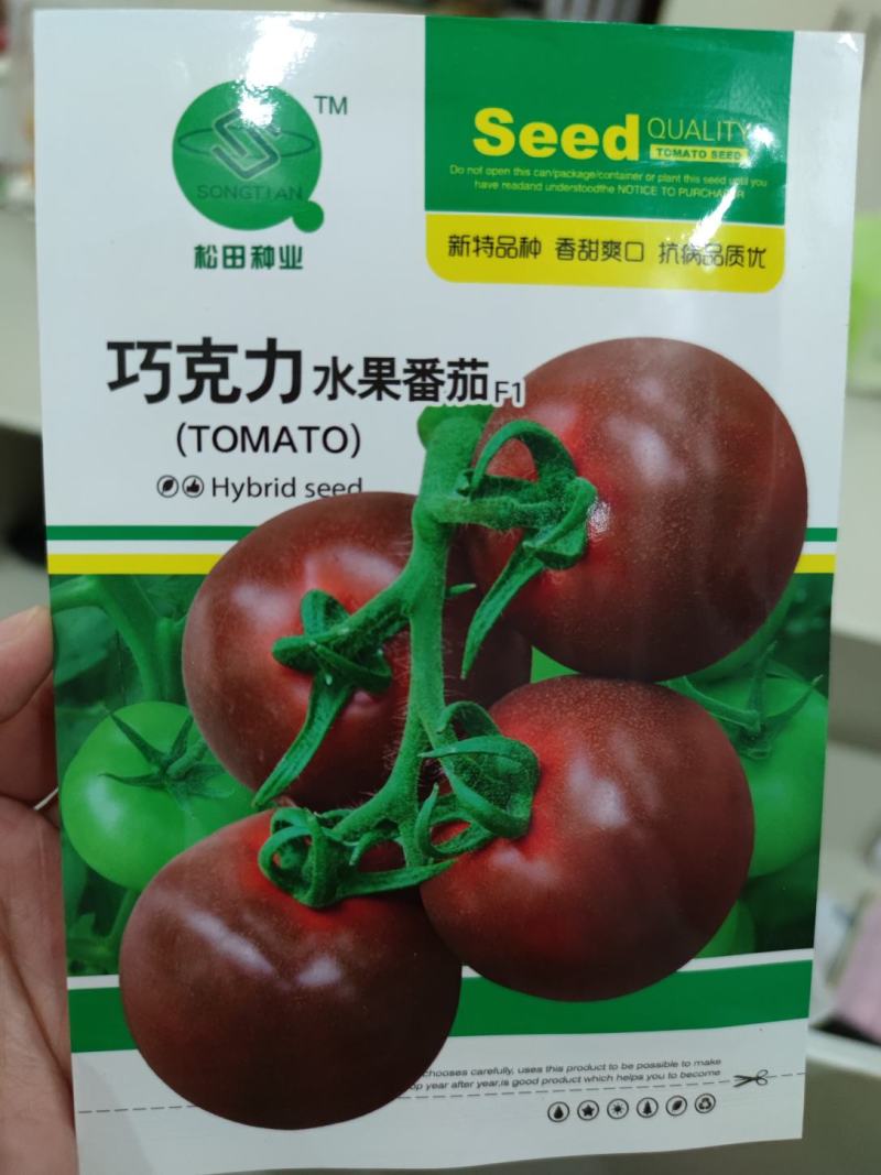 巧克力水果番茄种子，味甜含糖高11%左右，单果重230