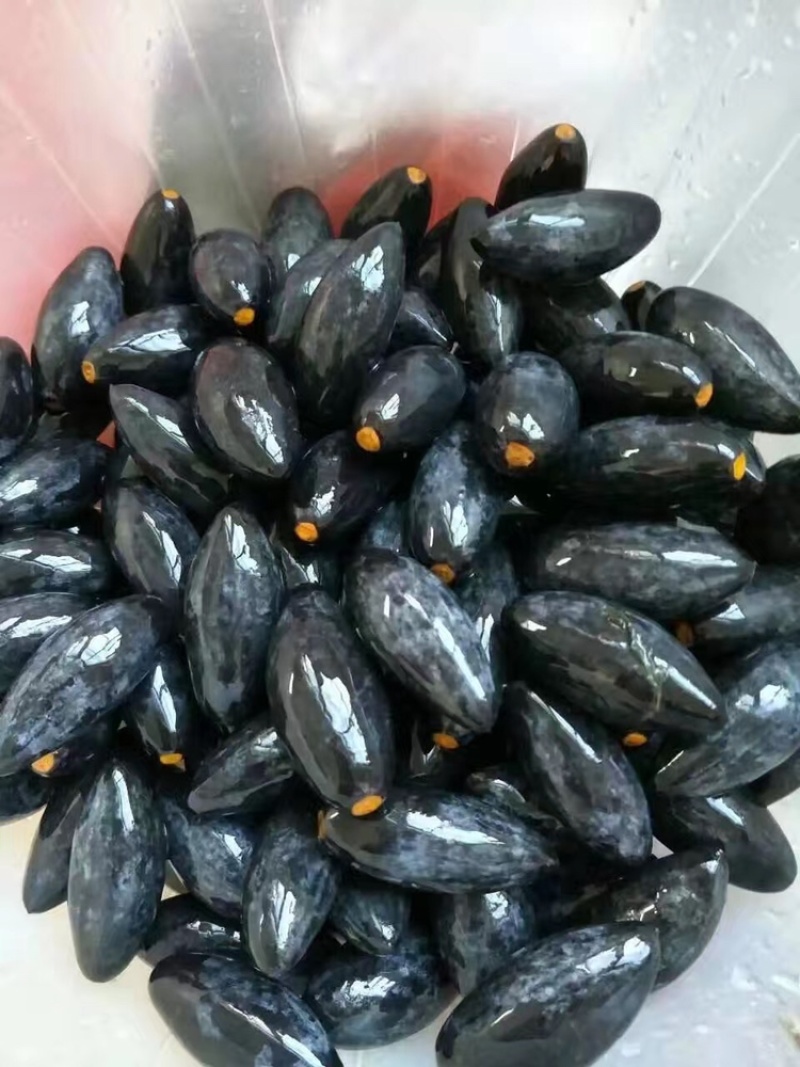 潮汕新鲜车酸榄长粒黑橄榄乌榄