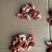 龙虾尾