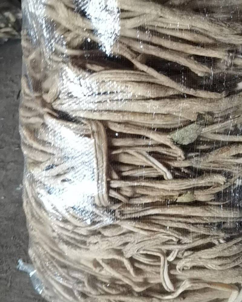 萝卜条