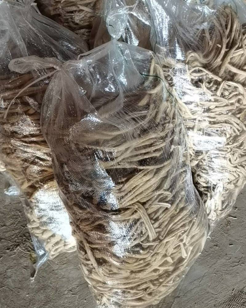 萝卜条