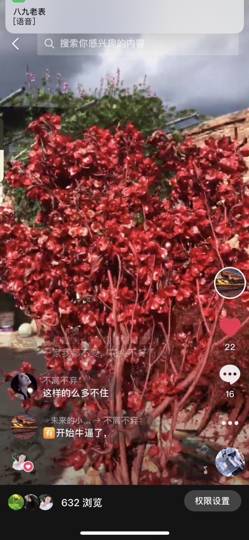 需要的老板，可以订购，迎客豆，