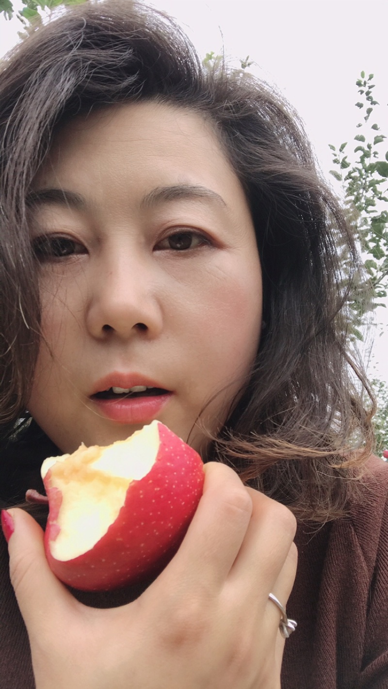 甘肃高原晚熟冰糖心红富士苹果送礼佳品，坏果包陪包邮