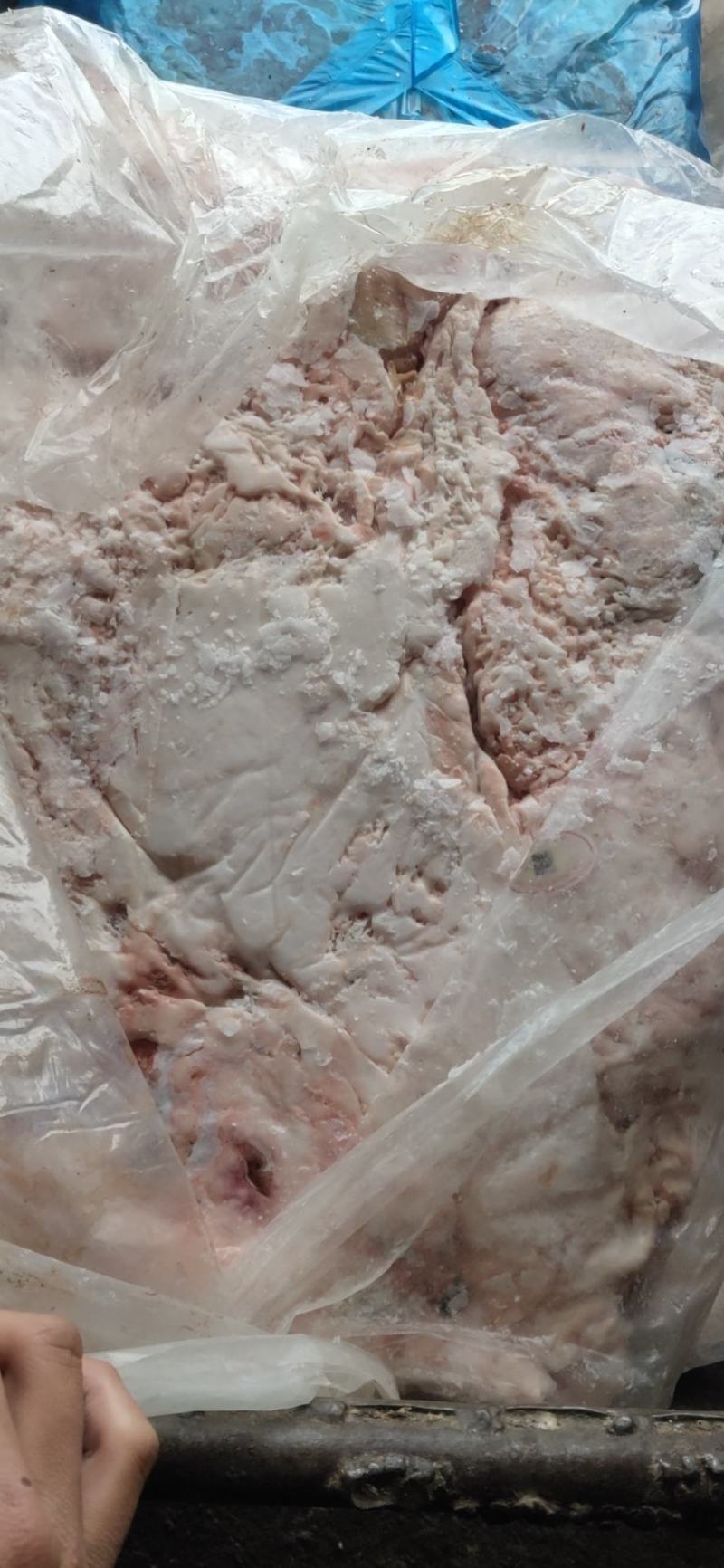 羊油肚油腰油