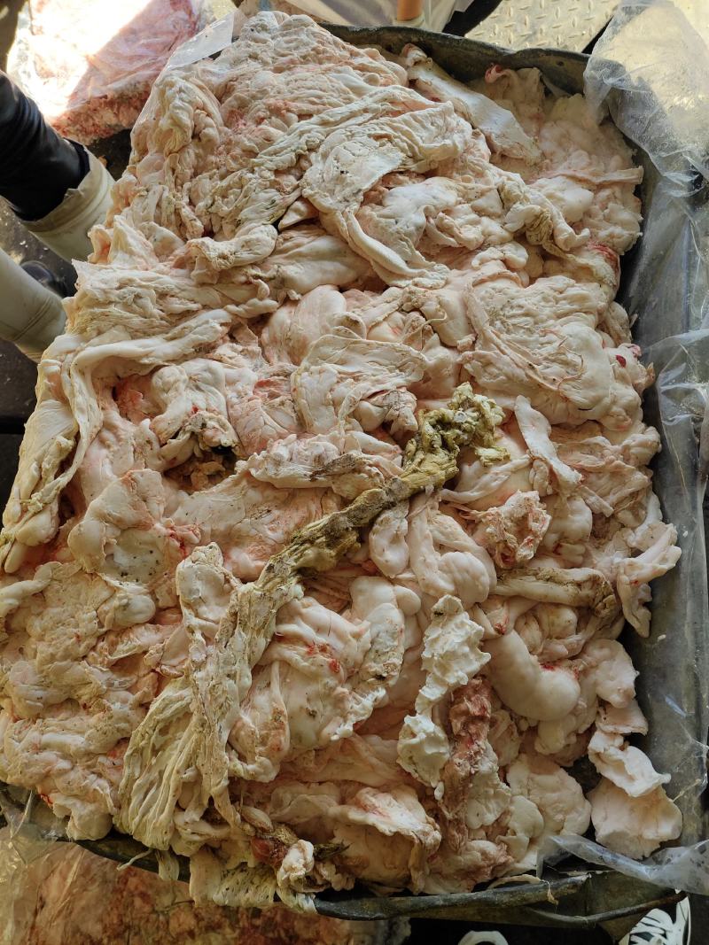 羊油杂油肠油