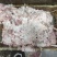 羊油杂油肠油