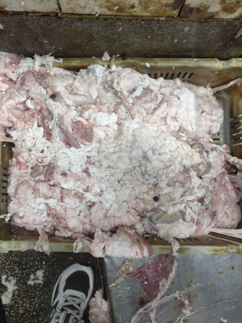 羊油杂油肠油