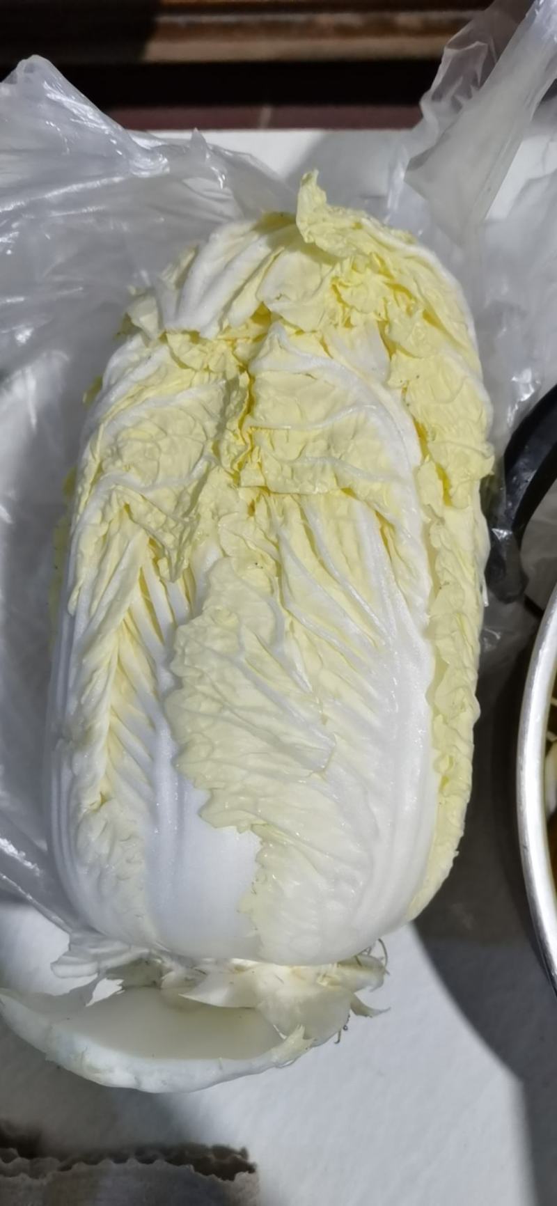 通许精品黄心大白菜已开售