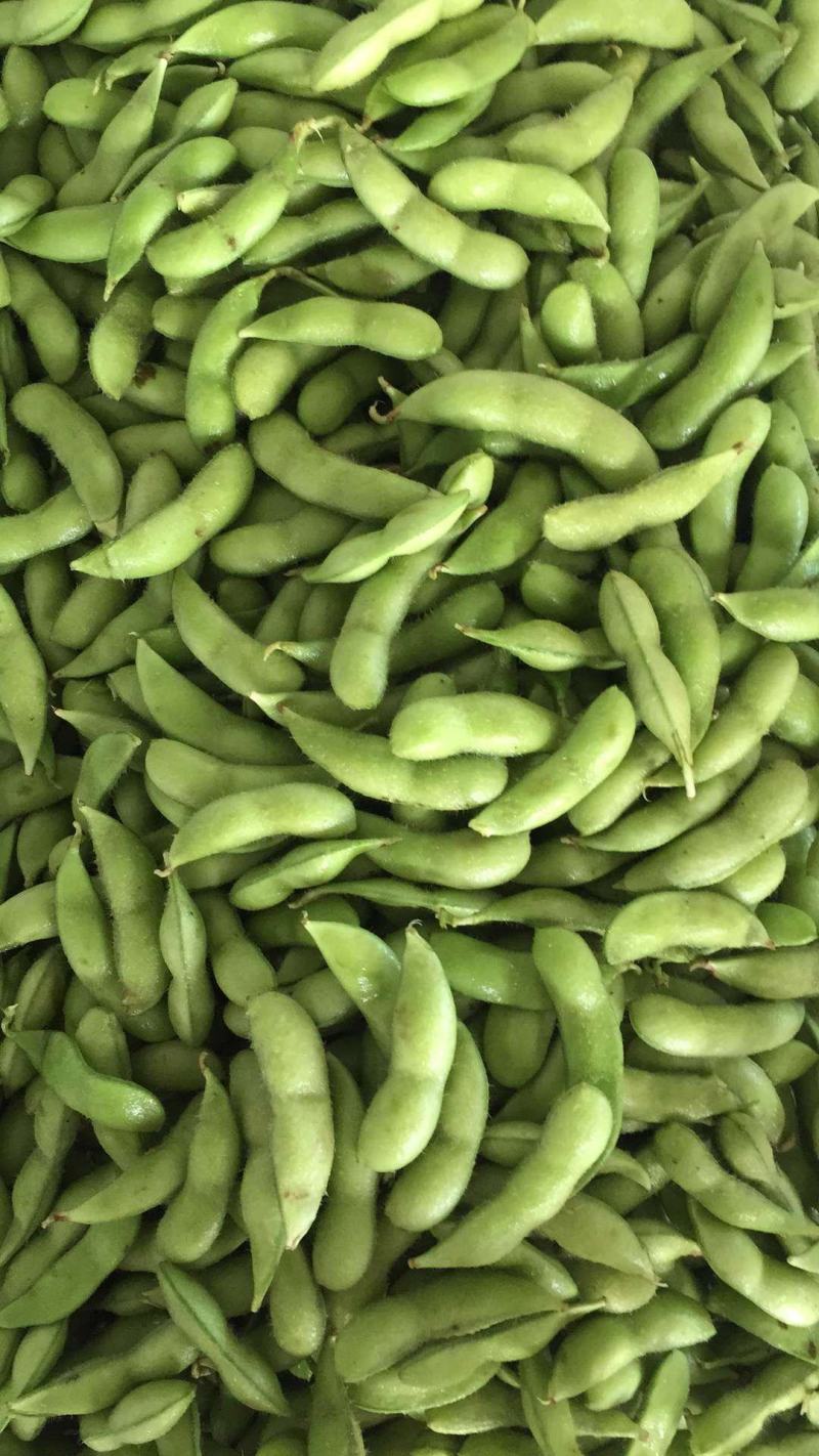 福建64精品全线上市毛豆版型饱满，个头大颜色青秀