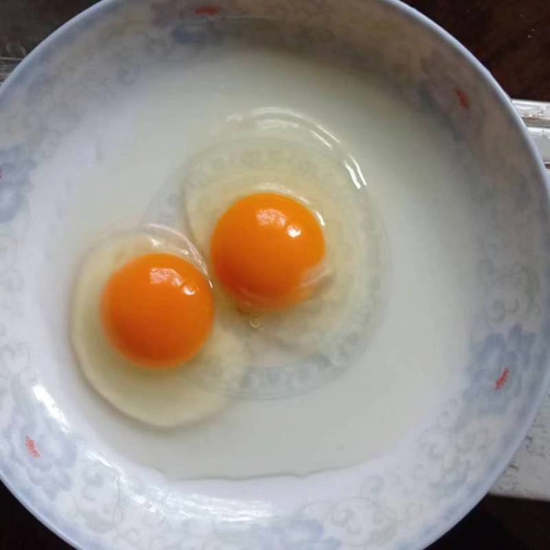 双色到位绿壳蛋乌鸡蛋零售批发。。。。。。。。。。