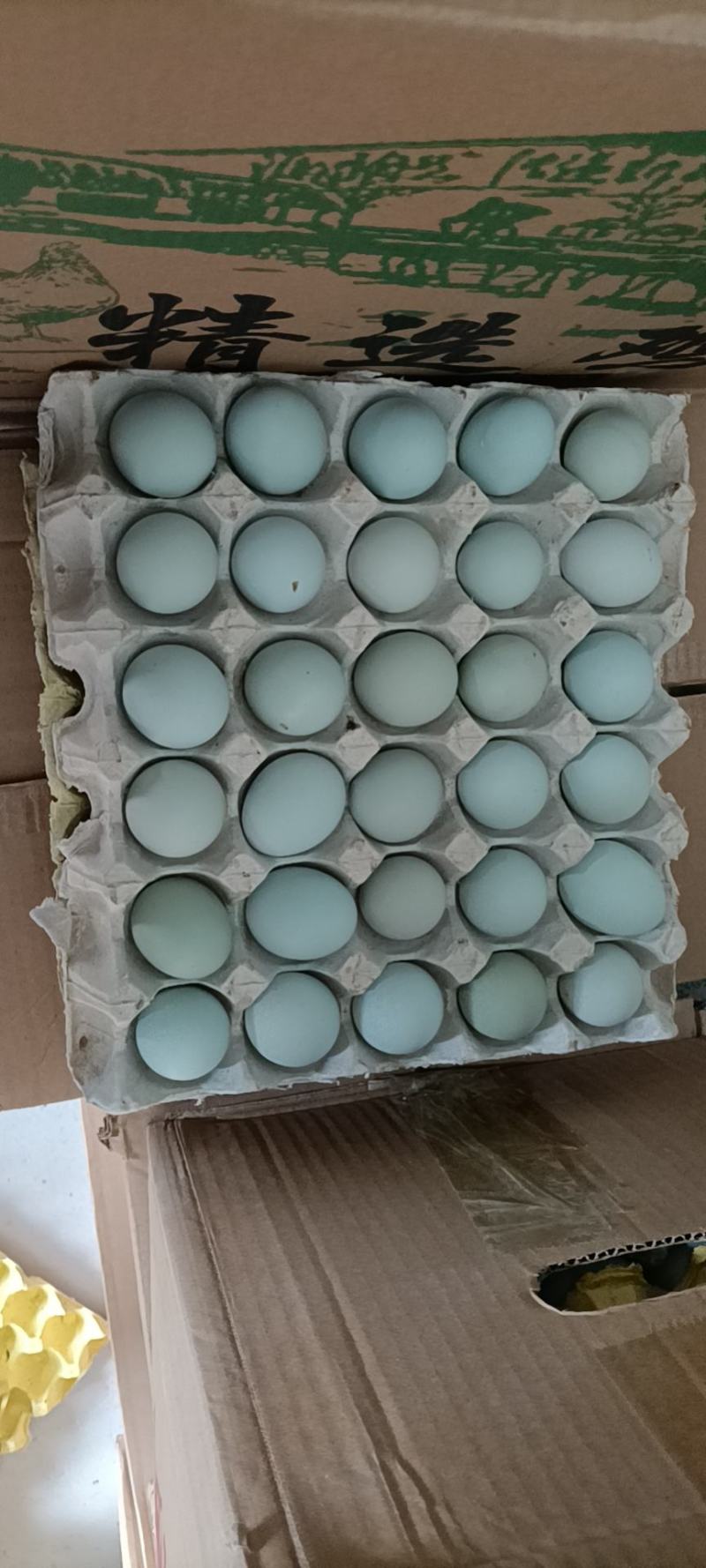 双色到位绿壳蛋乌鸡蛋零售批发。。。。。。。。。。
