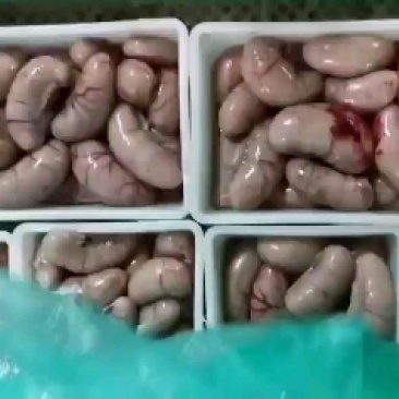 新鲜鸭腰子