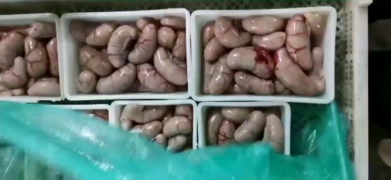 新鲜鸭腰子