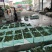 精品西兰花场地直供整车发货泡沫箱打冰