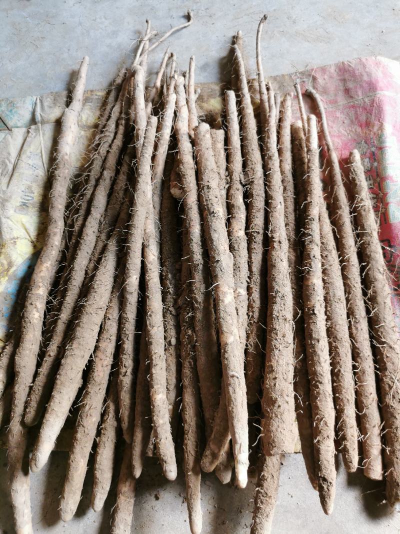 河北紫药麻山药电商社区团购，批发商产地直销，品种齐全