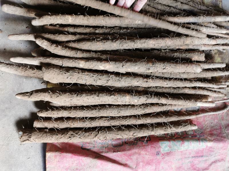 河北紫药麻山药电商社区团购，批发商产地直销，品种齐全