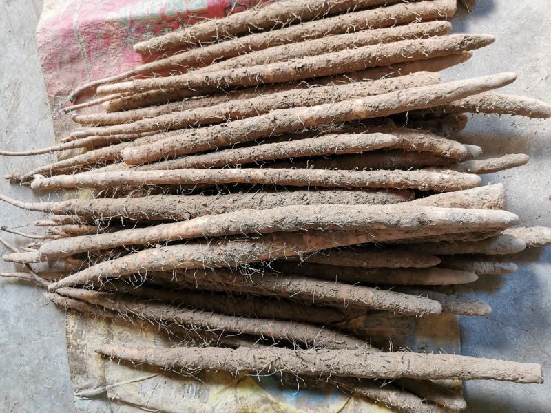 河北紫药麻山药电商社区团购，批发商产地直销，品种齐全