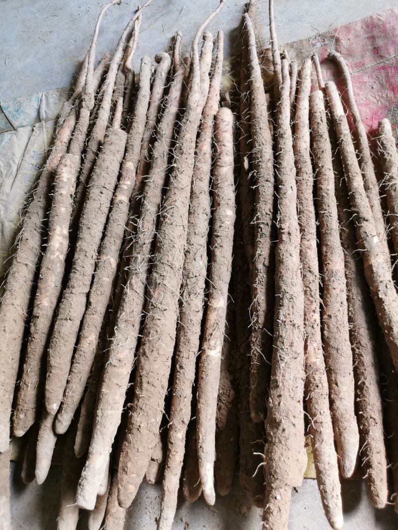 河北紫药麻山药电商社区团购，批发商产地直销，品种齐全