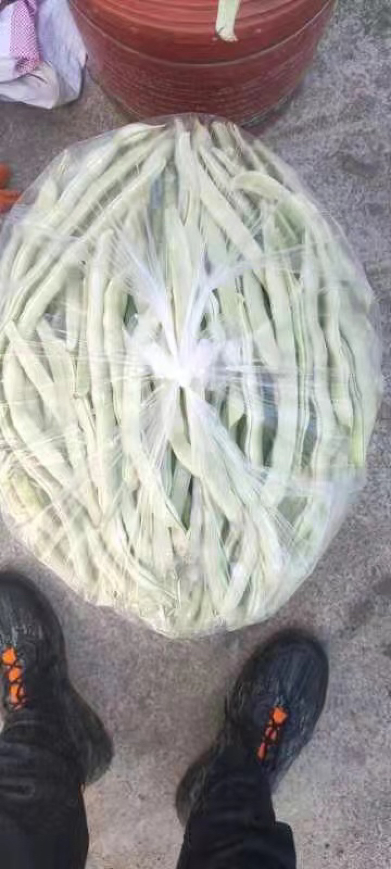产地直发超市专供全国发货物美价廉，精品白豆