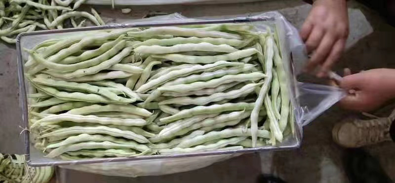 产地直发超市专供全国发货物美价廉，精品白豆