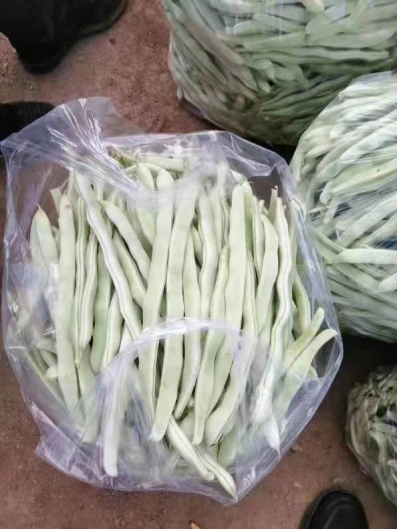 产地直发超市专供全国发货物美价廉，精品白豆
