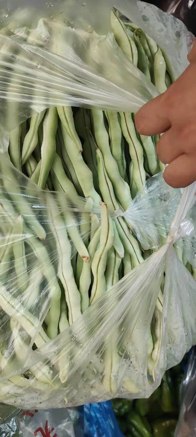 产地直发超市专供全国发货物美价廉，精品白豆