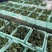西兰花产地直供一手货源整车发货泡沫打冰