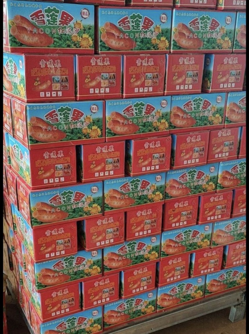 供应雪莲果