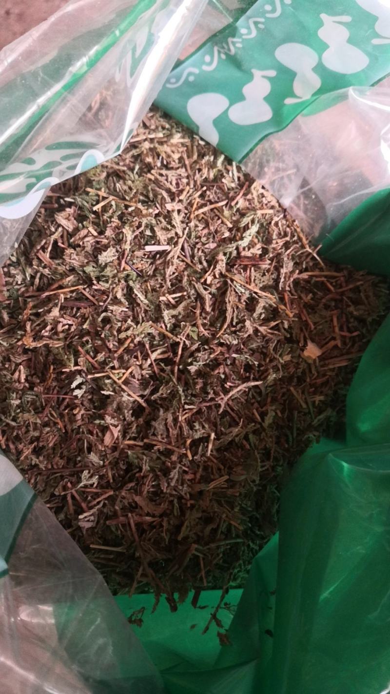 石上柏冷背药材齐全质量保证不满意可无理由退换货