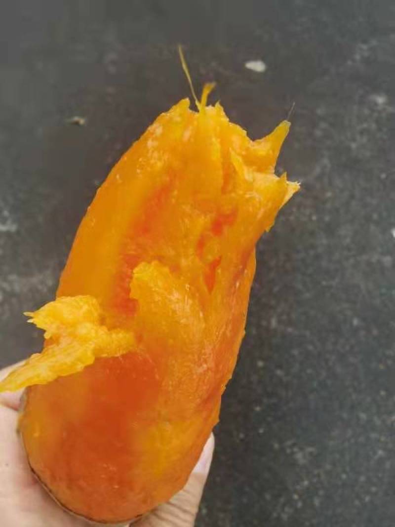 烟薯25烟薯蜜薯产地直供，又甜又软正宗烟薯25预售