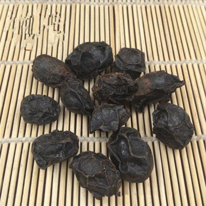 广枣南酸枣山枣带肉五眼果冷背药材齐全