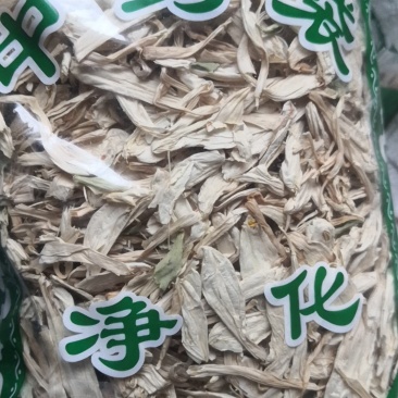 玉簪花白玉簪花白鹤花玉泡花新货冷背药材齐全