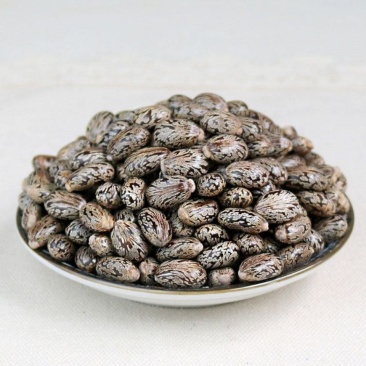 蓖麻子蓖麻子油蓖麻籽冷背药材齐全不满意可退换货