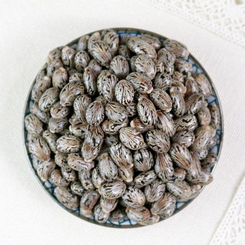 蓖麻子蓖麻子油蓖麻籽冷背药材齐全不满意可退换货
